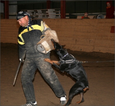 Training in Estonia 11/2007